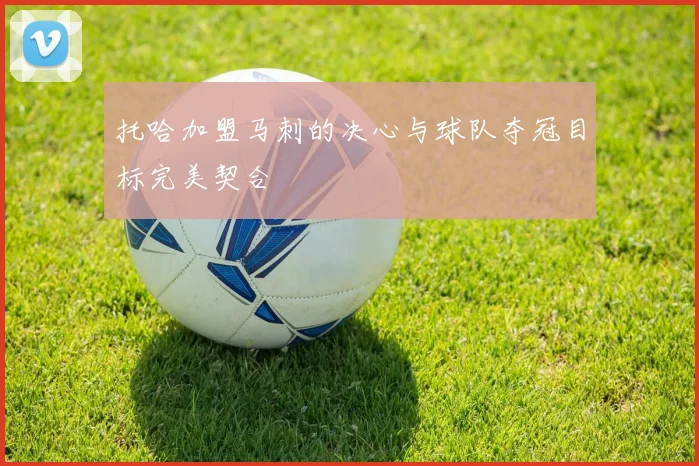 托哈加盟马刺的决心与球队夺冠目标完美契合