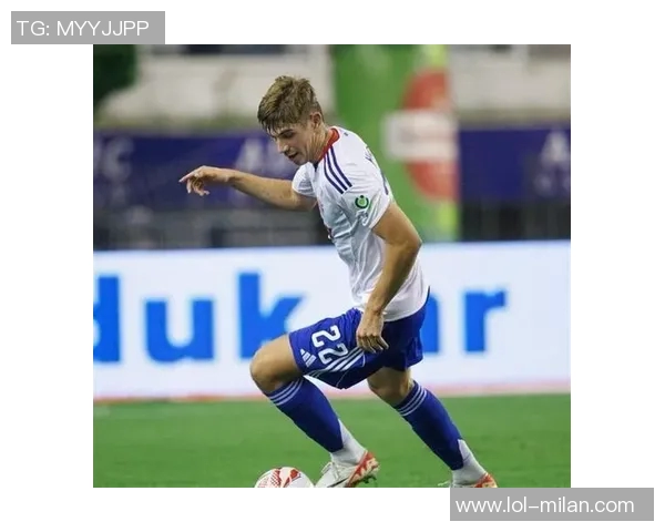 国米积极洽谈引进哈伊杜克18岁中卫姆拉契奇球员已表示愿意加盟